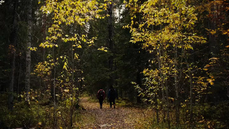 Autumn Hike in Luleå, Sweden: Two People Walking Through a Forest Trail