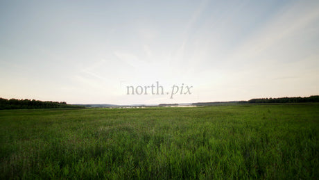 Flying Over Green Meadow at Evening, Summer Nature Landscape With Lake or River