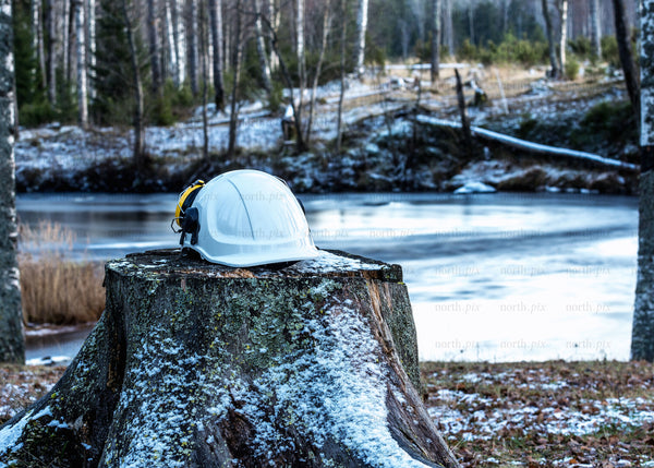 White safety helmet on tree stump by lake, winter morning