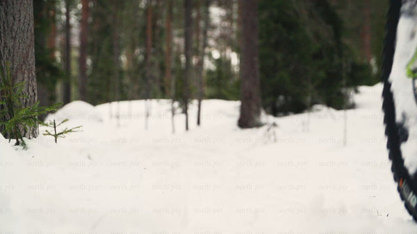 Fatbiking through snowy forest trail in Luleå, winter adventure