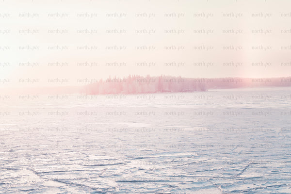 Frozen lake with distant tree-covered island at sunrise