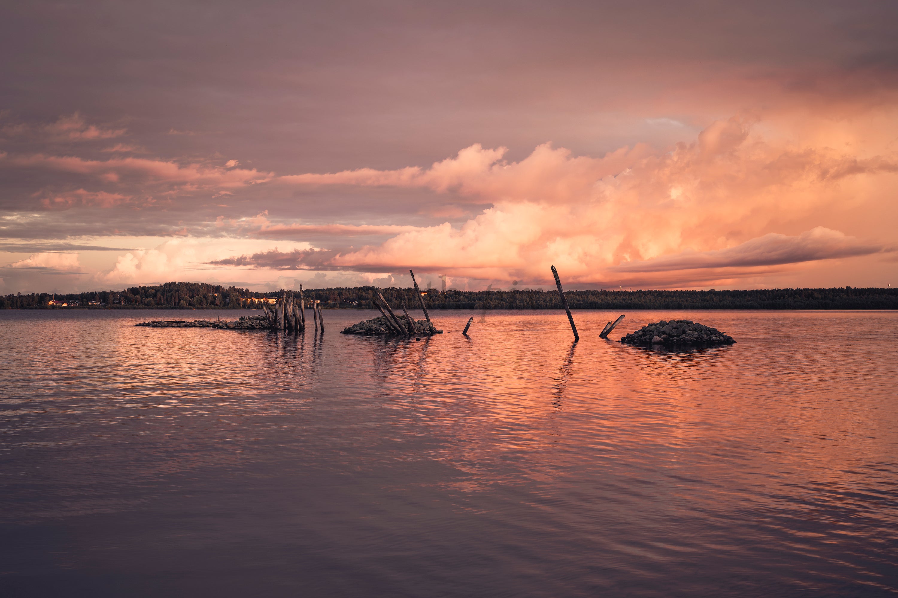 Old wooden pilings in lake at sunset