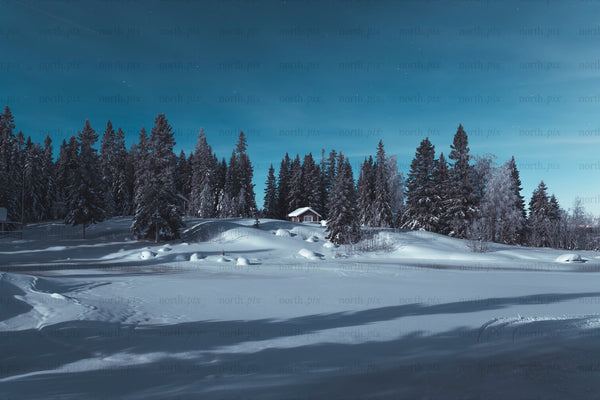 Cabin in snow among pine forest at night