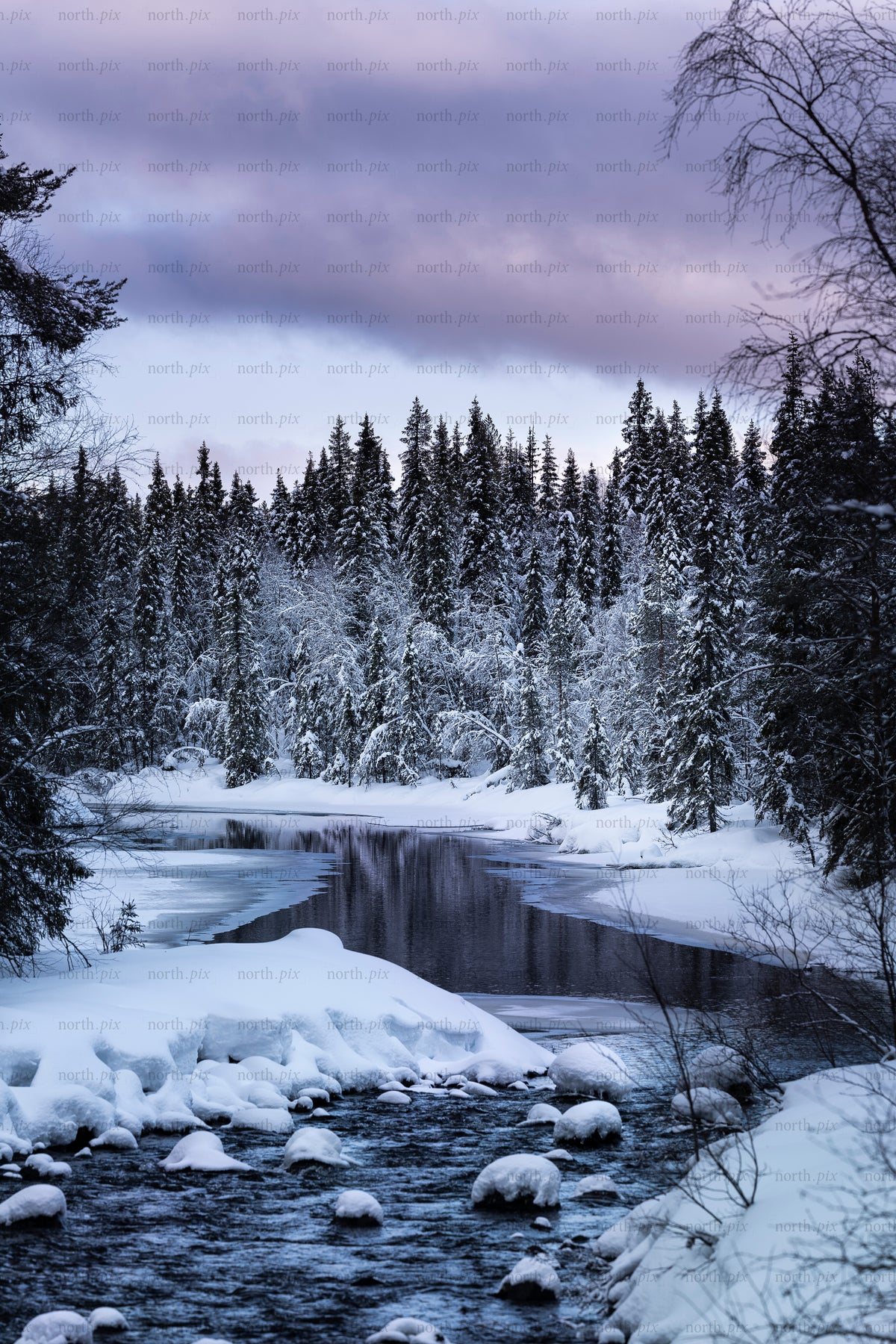 Snötäckt älv som slingrar sig genom granskog i skymningen