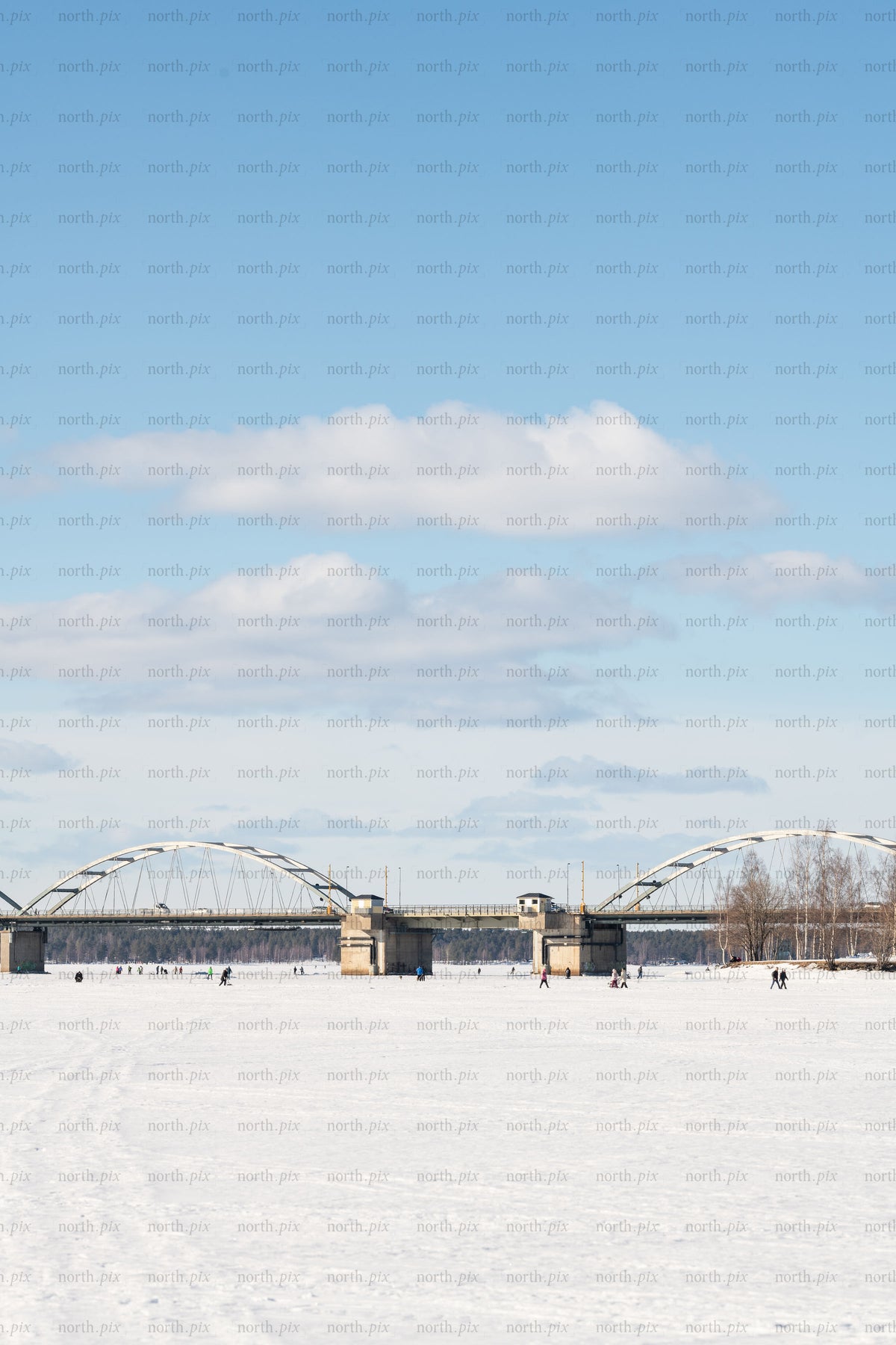 Bridge over a frozen river on a winter day