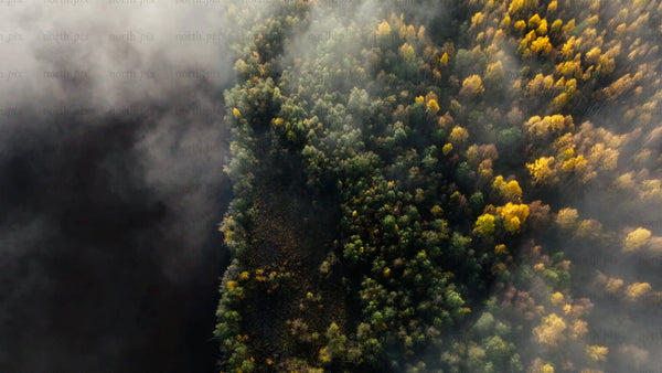 Misty autumn lake and forest aerial top down view
