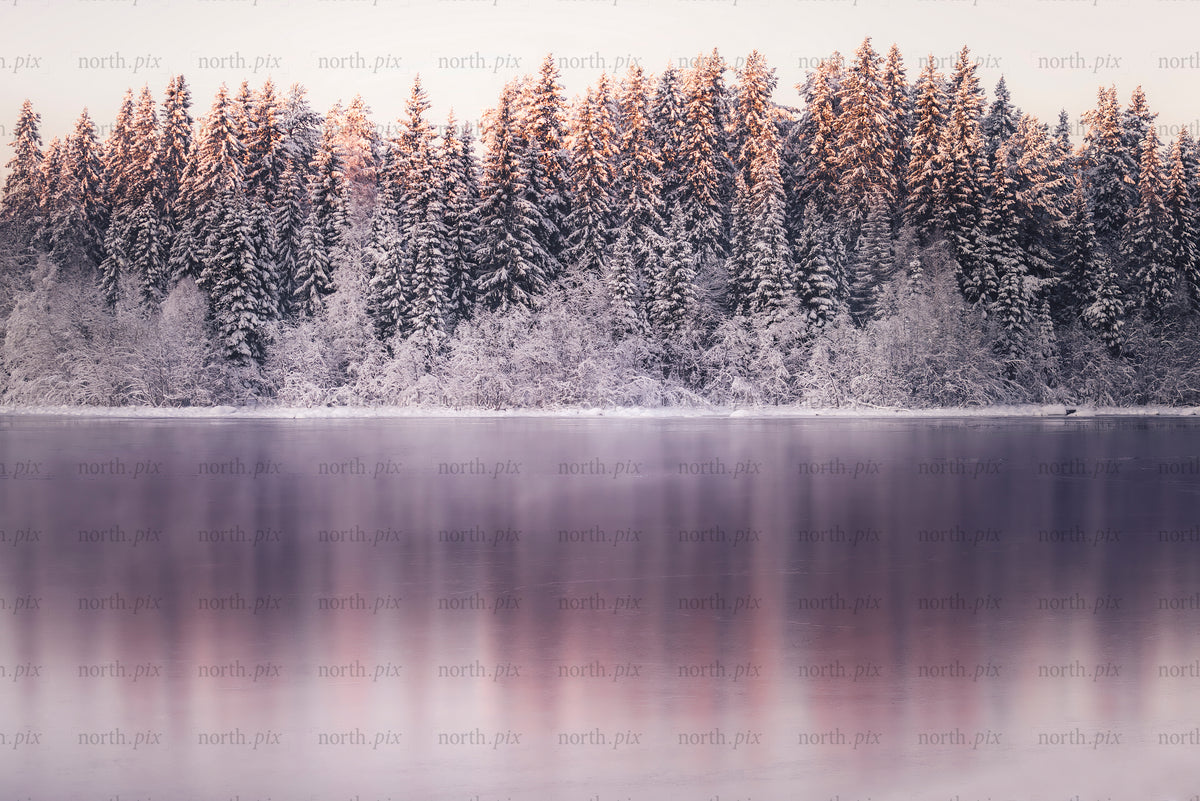 Snow-covered forest and frozen lake with sunrise reflection