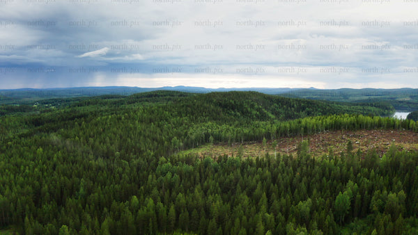 Aerial view of ubbyn forest: Lush green landscape with deforestation