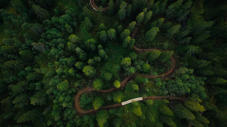 Mountain Biker Riding Downhill Trail Through Forest