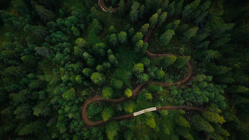 Mountainbiker som cyklar nedförsbacke genom skogen