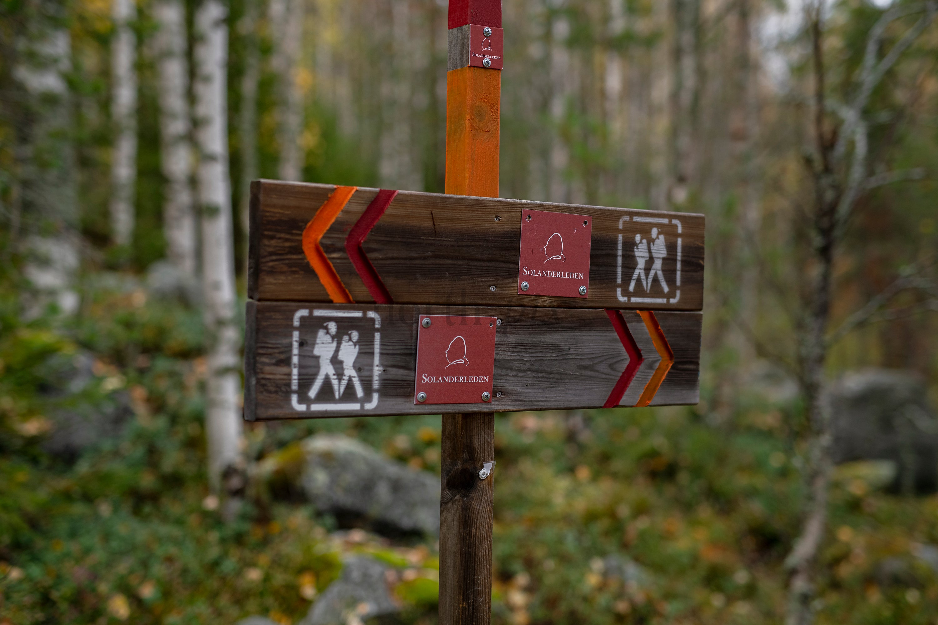 _DSC7580.jpg