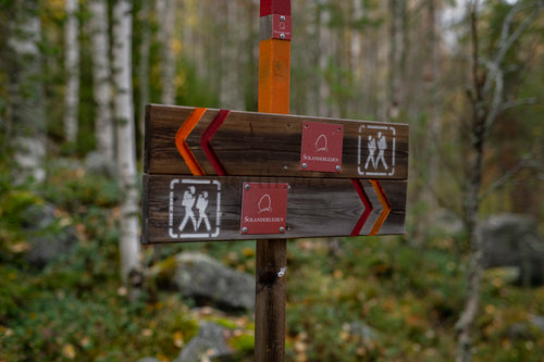 _DSC7580.jpg