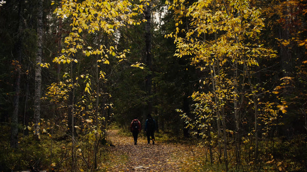 Autumn hike in Luleå: Two people walking through a forest trail