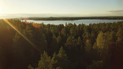 Gyllene solnedgång över tallskog och vatten i Piteå skärgård, Fårön, norra Sverige