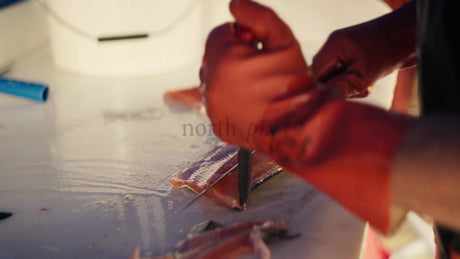 Fresh Salmon Filleting: Close-Up of Hands Preparing Fish in Urban Summer Setting