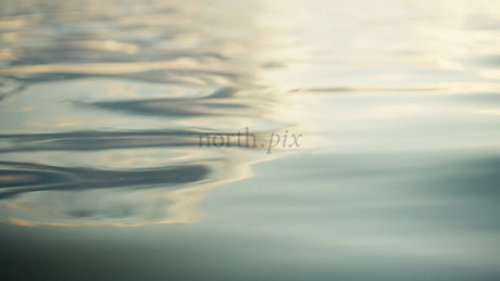 Golden Light Reflecting on Calm Water Surface