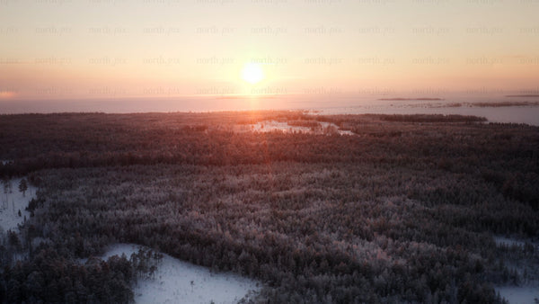 Winter sunrise over frozen sea and forest in Luleå