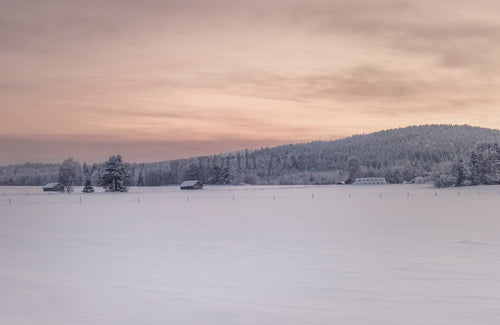 Snötäckt fält med ekonomibyggnader vid soluppgången