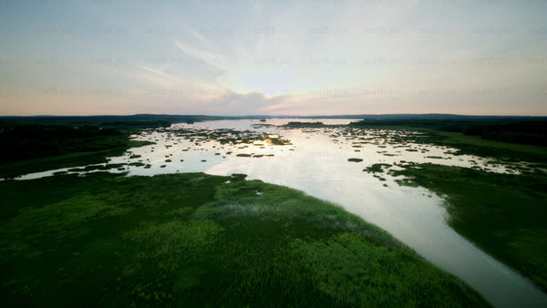 Sunset over calm lake: Aerial view of summer landscape