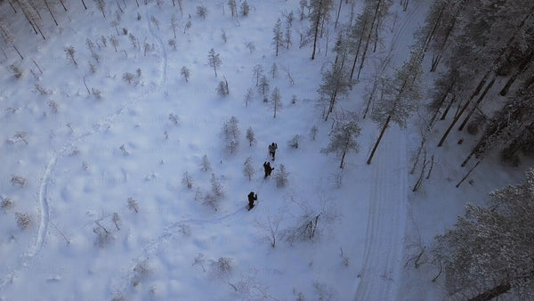 Snowshoeing in Gunnarsbyn: Friends exploring a winter wonderland