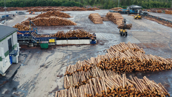 Aerial view of forestry industry: Logs, machinery, and summer operations