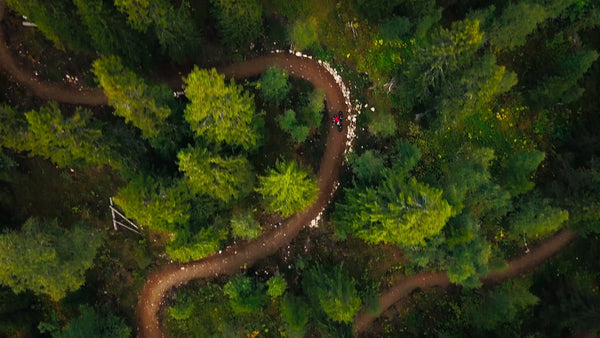 Mountain biker on downhill forest trail in summer