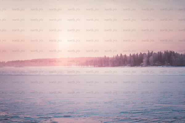 Frozen lake at sunrise with shoreline trees and cabins