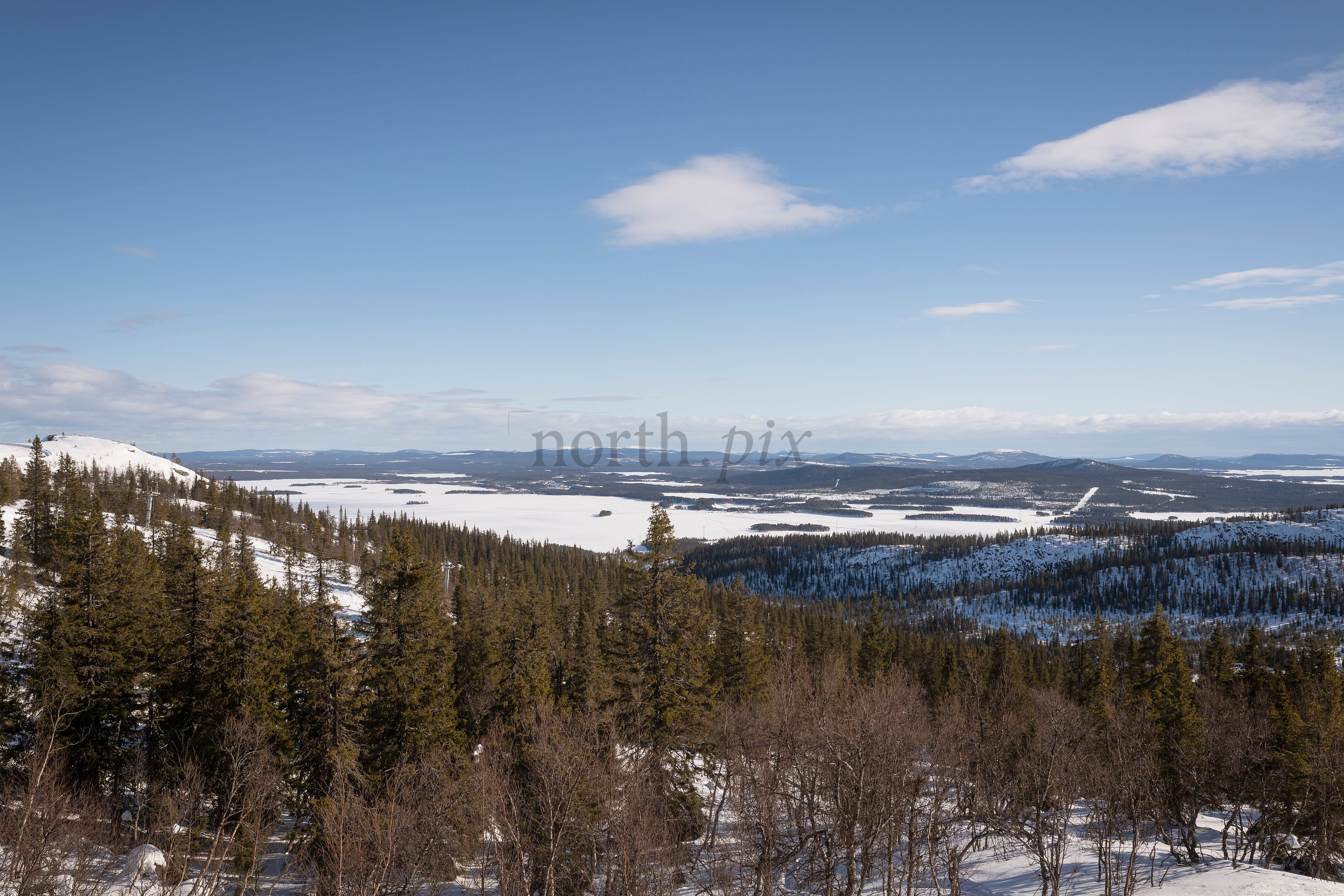 Snow-covered forest and frozen lake in winter morning