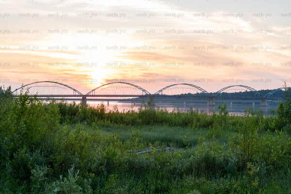 Arch bridge over river at sunset with foreground vegetation