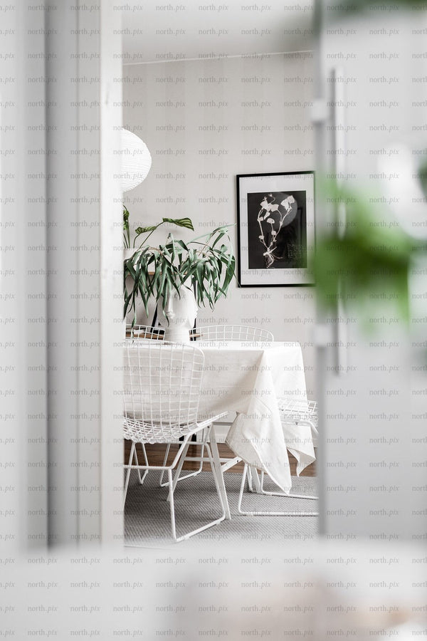 Dining table with white wire chairs and plants