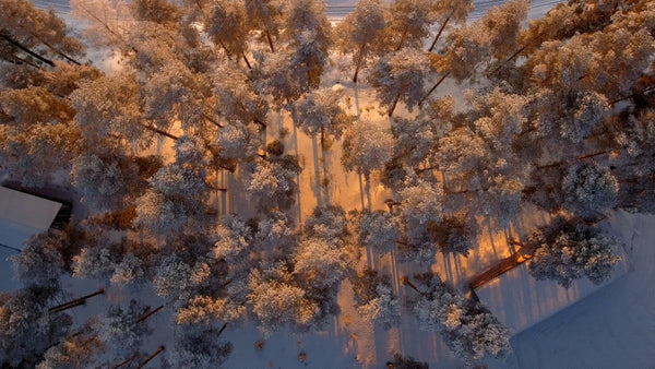 Winter sunset over Gunnarsbyn: Aerial view of snowy forest and frozen lake