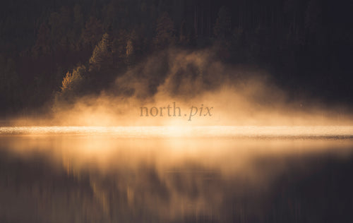 Mist rising over lake at sunrise, forest shore