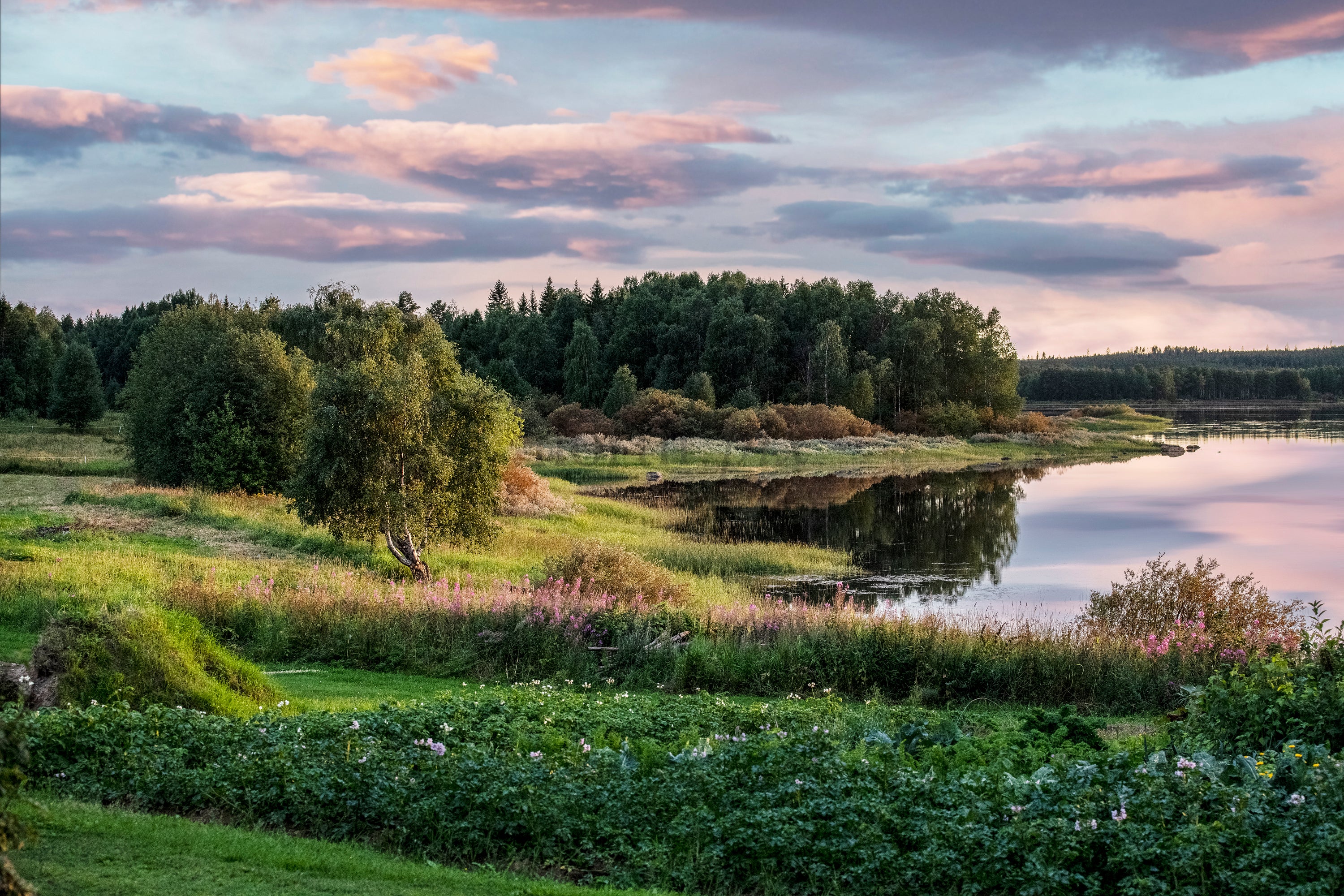 morjärv kopiera.jpg