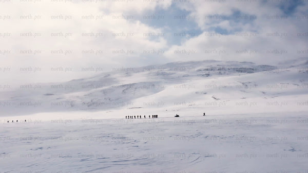 Skiing in Riksgränsen: Group on winter adventure in snowy mountains