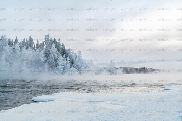 Frozen river and frosted forest in winter morning