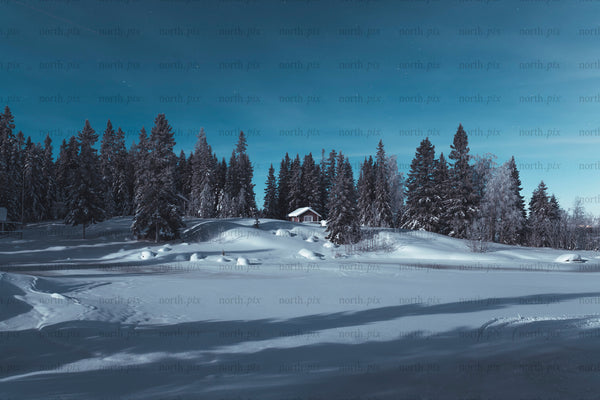 Cabin in snow among pine forest at night