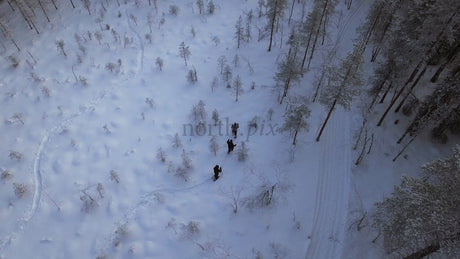 Snowshoeing in Gunnarsbyn: Friends Exploring a Winter Wonderland