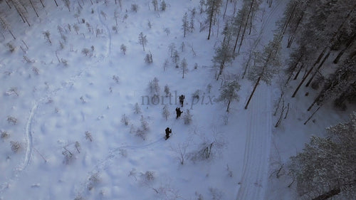 Snöskovandring i Gunnarsbyn: Vänner utforskar ett vinterland
