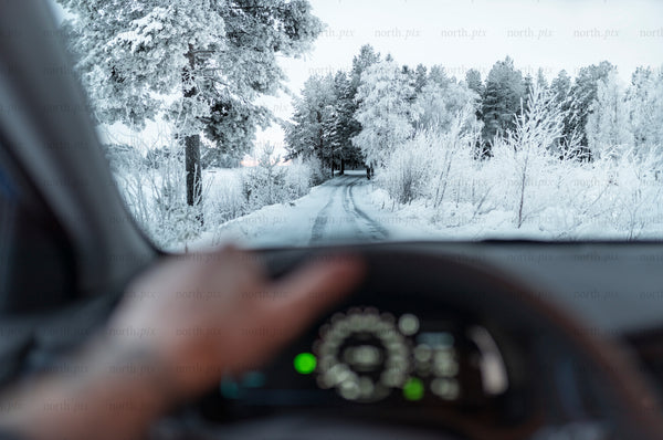 Driver view of snowy forest road, winter morning