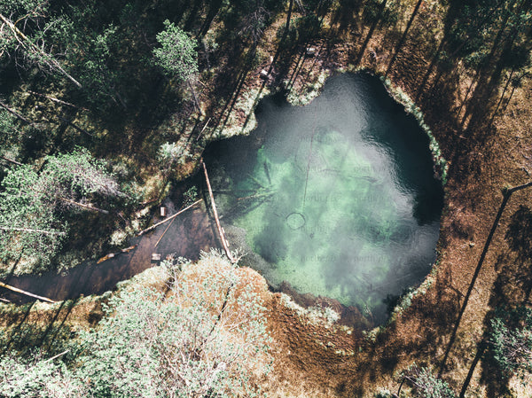 Aerial view of forest pond with green water, summer morning