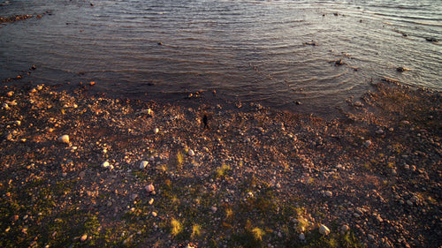 Gyllene timmen promenad på en klippig strand i Luleå skärgård, Sverige