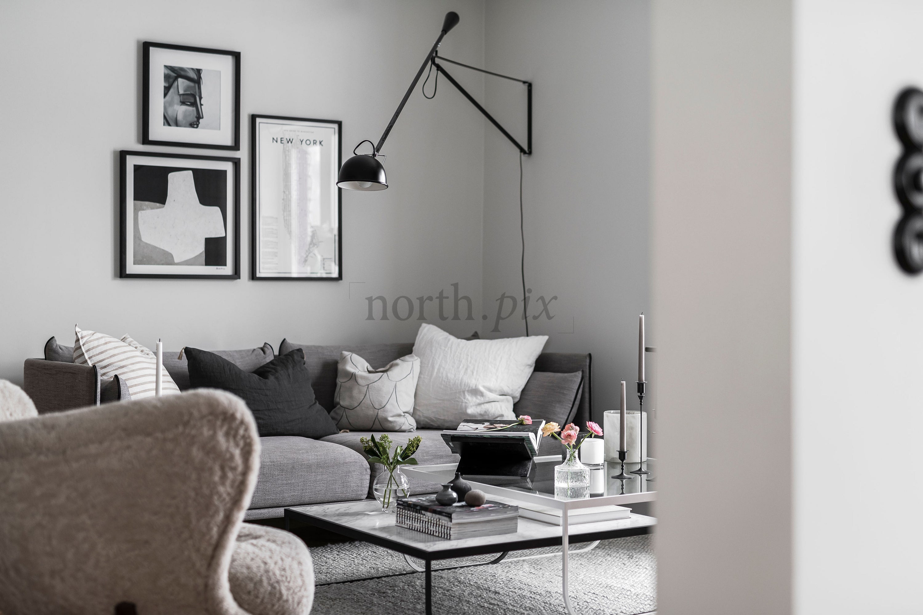 Living room interior with gray sofa in daylight