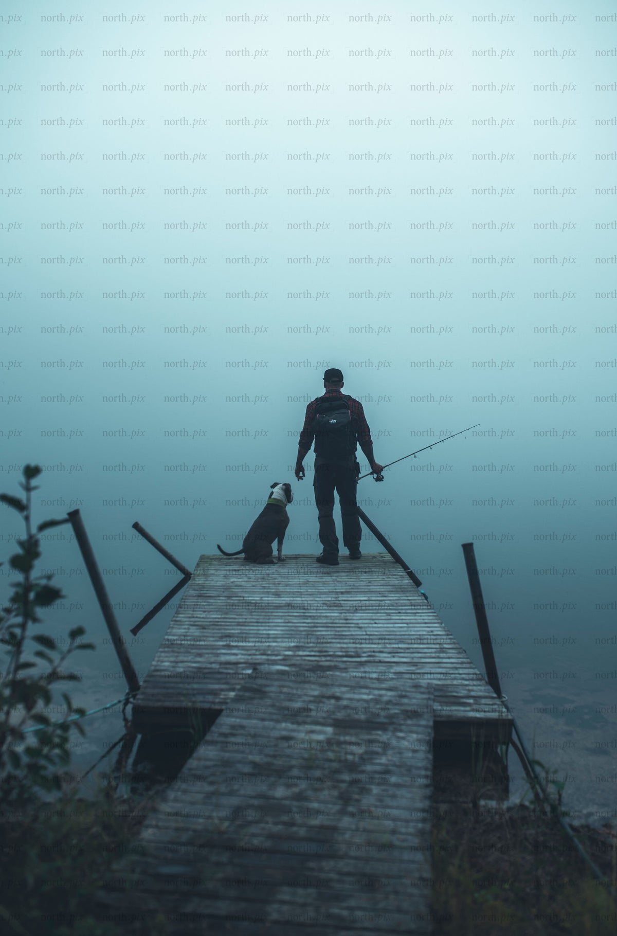 Man fishing with dog on wooden dock in fog