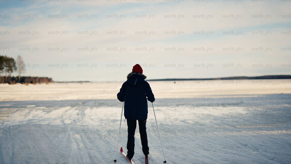 Winter cross-country skiing in Luleå archipelago