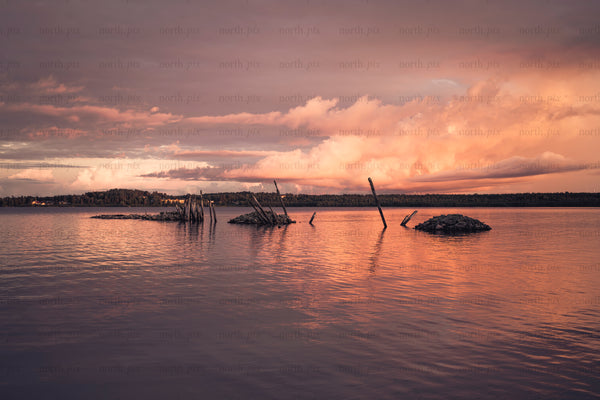 Old wooden pilings in lake at sunset