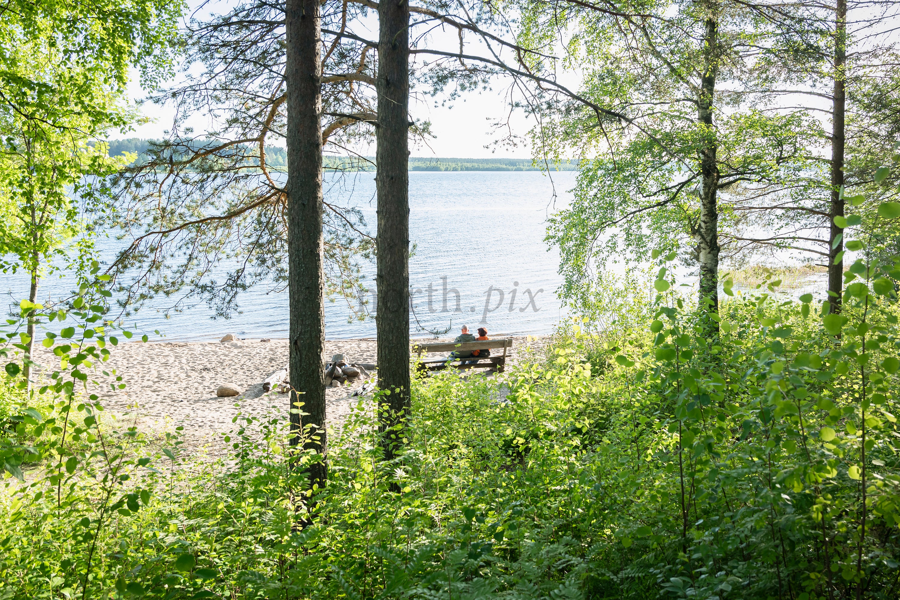 Couple on bench by lake shore in summer