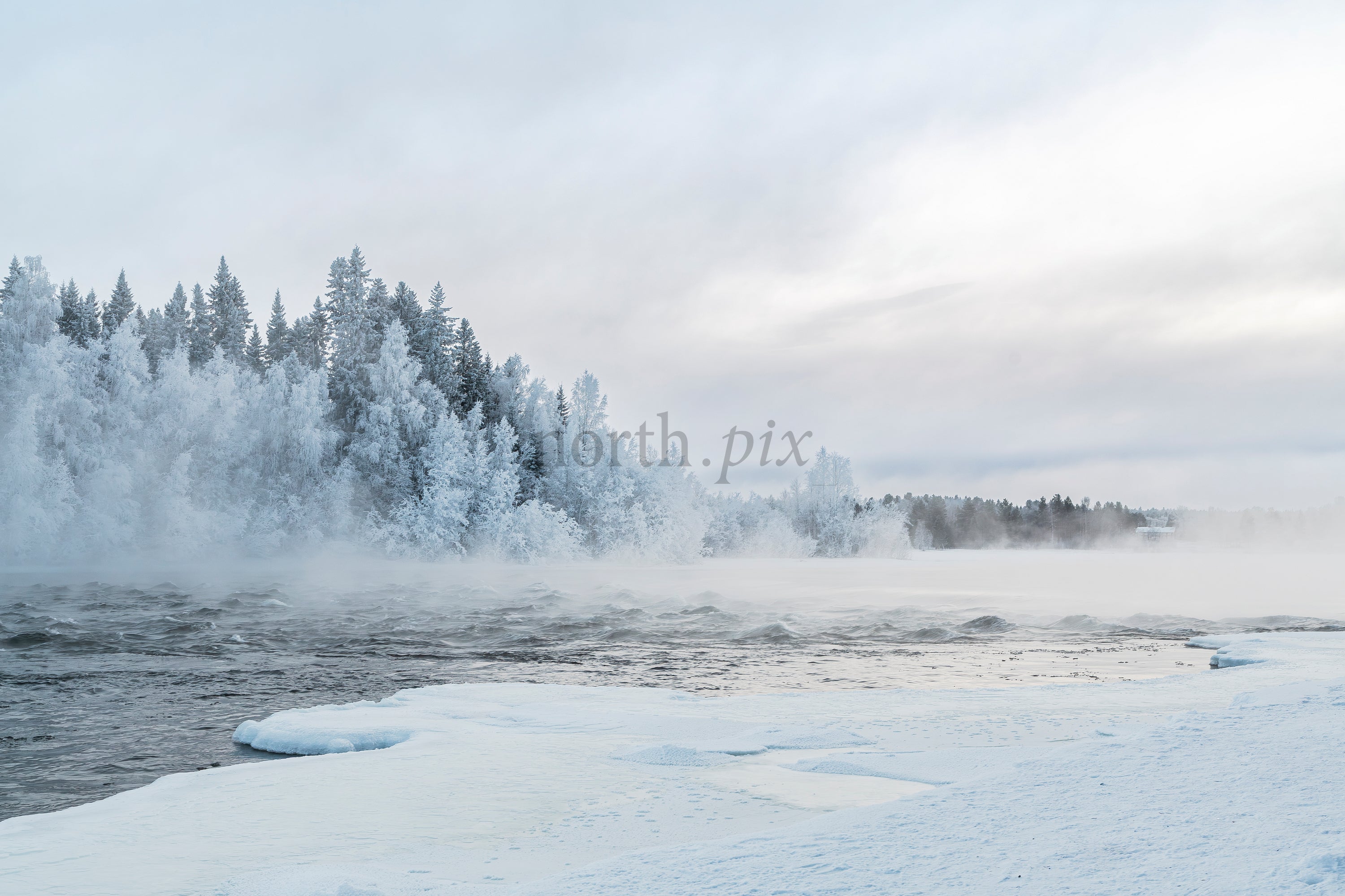 Frozen river and frosted forest in winter morning