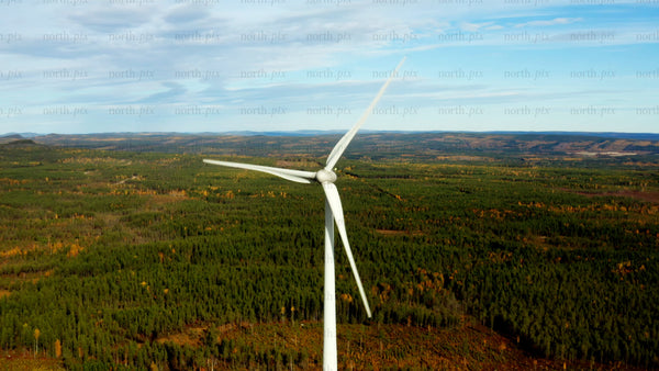 Markbygden wind farm: Aerial view of sustainable energy in summer