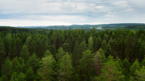 Flygfoto över Ubbynskogen och flodlandskapet i Sverige
