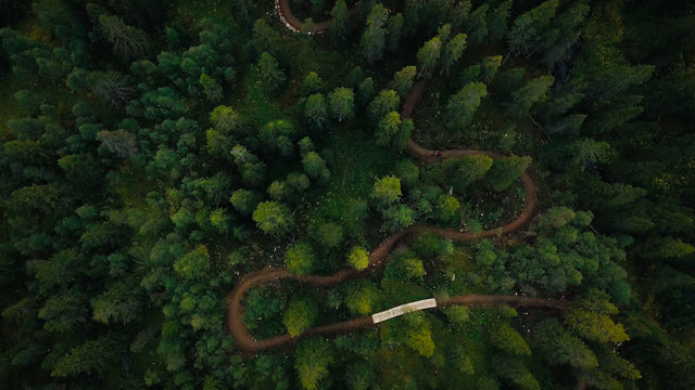 Mountain biker riding downhill trail through forest